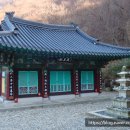 대안동 신흥사 구 대웅전 이미지