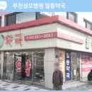 성모사랑약국 이미지