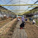 가락농장 이미지