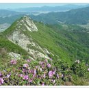 매산주유소 이미지