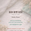스페셜마켓22