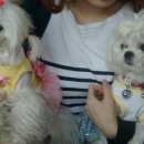 미스터토리 이미지