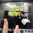 효선상사