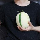 가야농수산 이미지