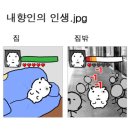반년동안뭐했냐고요?