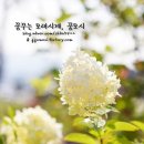 디스플레인 이미지