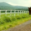 광호목장 이미지