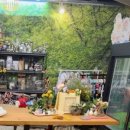 울진봄날애햇살 이미지