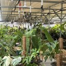 요동농장 이미지