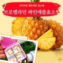퀘르세틴 파파인 다이어트 리율렌 브로멜라인 파인애플 효소 후기
