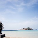 제주도 이미지