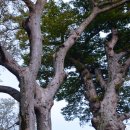 세계유산코스 이미지