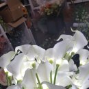 플라워PC방 이미지