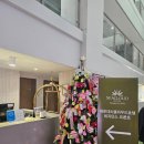 (주)해운대씨클라우드호텔레지던스 | 부산 가성비최고의 숙소해운대씨클라우드호텔레지던스 내돈내산 만족후기