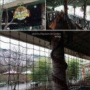 백수가축인공수정소 | [대전여행]대전오월드동물원-신나는 동물나라/아프리카 사파리체험