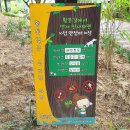 상아어린이공원 이미지