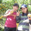 인숙농장 이미지