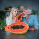 유)파파야 이미지