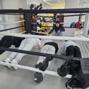 김정훈 챠밍복싱센터(칠원동점) 이미지