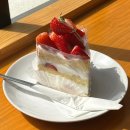 엠테이블(m_table) | 혜화 한옥카페 에디션엠 딸기 생크림 케이크 맛집 내돈내산 솔직 후기