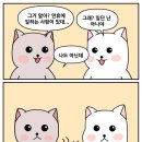 정식김밥 이미지