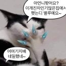 안전지대노래방 이미지