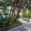 현대월드타워 앞 이미지