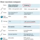 백산개발 이미지