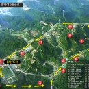 달맞이 Daum카페