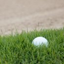 러프(Rough) 이미지