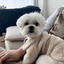 안곡로159번길 이미지