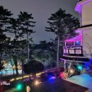 올레애견펜션 이미지