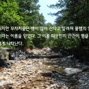 [금산]성치산(城峙山)12폭포 산행후기---2024년 8월 13일(화) 이미지