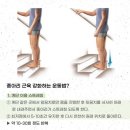 충주시 동수2길 10-10 | 충주 사라필라테스/ 바르게 걷기 위한 필수 운동 5가지?