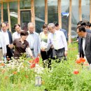 돌곶이시장 이미지