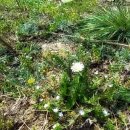 천지황찜질방 이미지