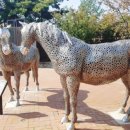 목리목장 이미지