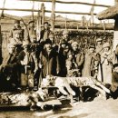 만 마리의 호랑이 이미지