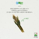 닥터해죽순