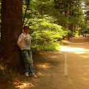 전나무목장 이미지