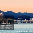 (주)타워피엠씨