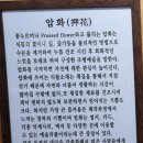 꽃과사는여인 이미지
