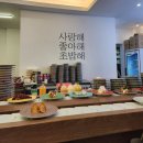 도장중 앞 | 2025 군포 철쭉 축제 개막식 후기