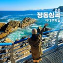 천안복지산악회 새해맞이 괘방산 (정동진/바다부채길) 특별산행공지(1/1) 이미지