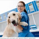 덴탈웨이 이미지