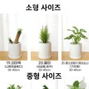 사당꽃화원