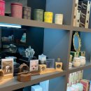 아름다운 애견 이미지