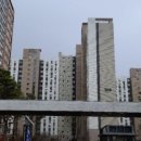 라디안아이 이미지