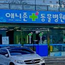 애니존동물병원 네이버블로그
