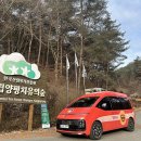 치유의숲 이미지